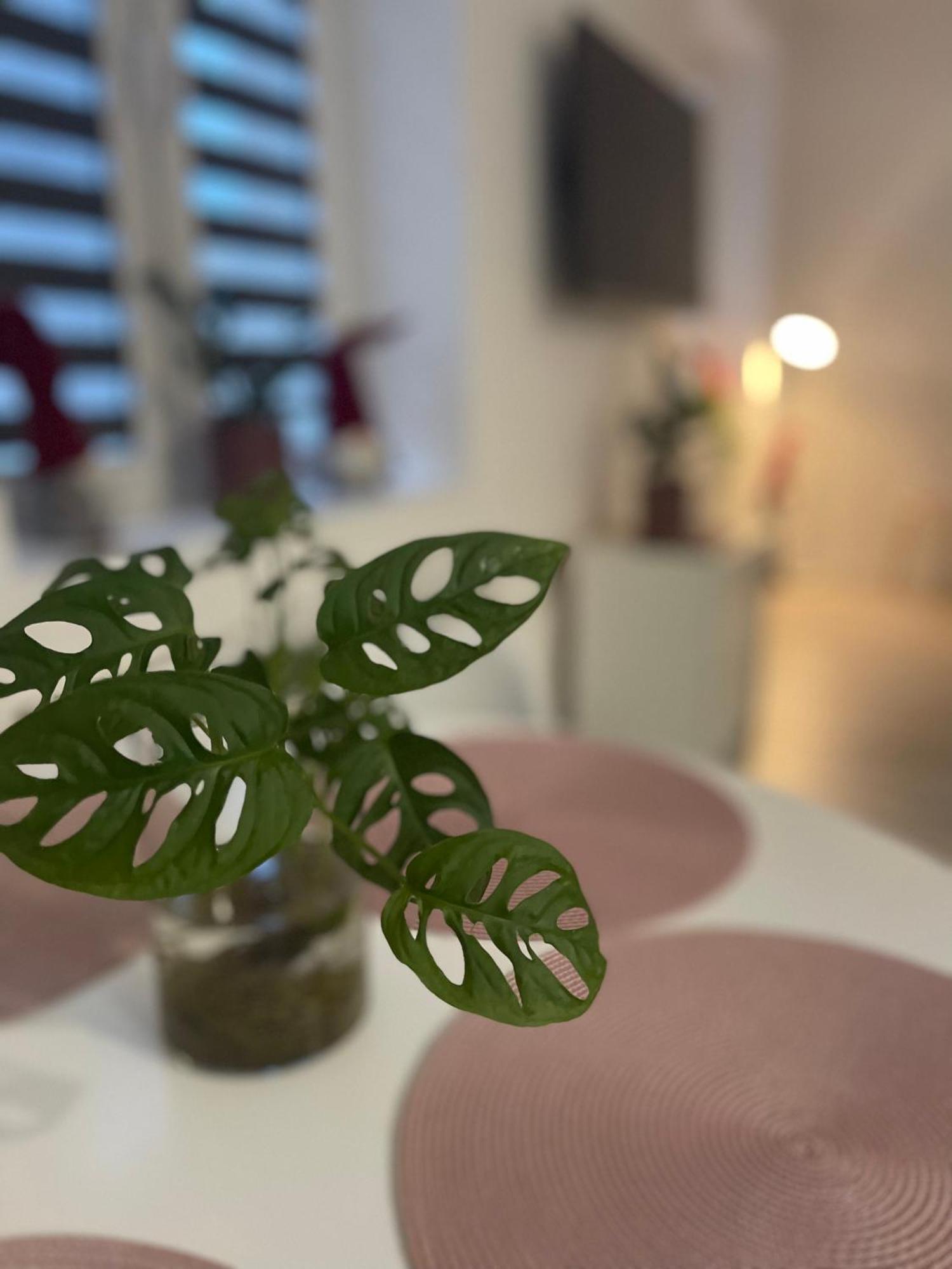Nikifor Krynica-zdroj Apartament *